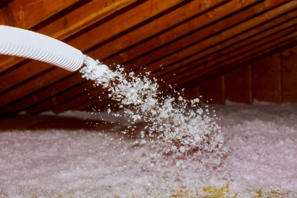 Best Insulation Installation Services in Rockford, MN
